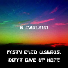 Misty Eyed Walrus, Don't Give Up Hope