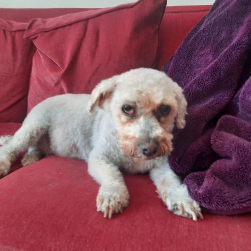 445. because you are just you (harding).mp3