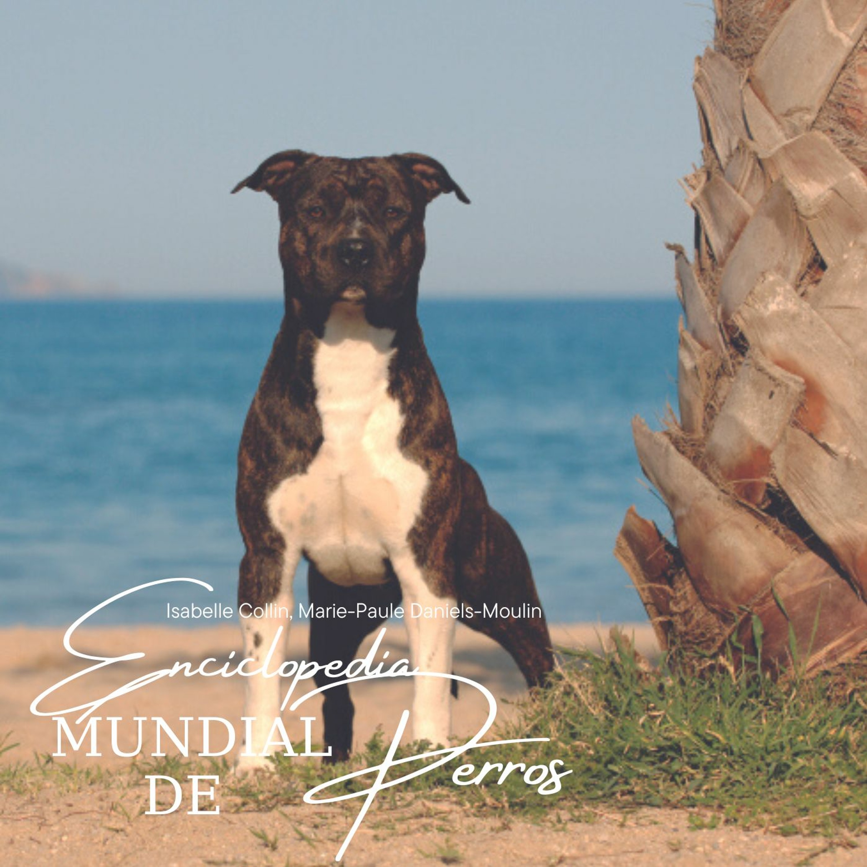 Devecchi Ediciones
