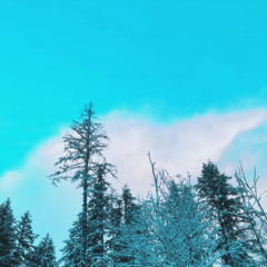 Silver Falls (feat. Oatmello)