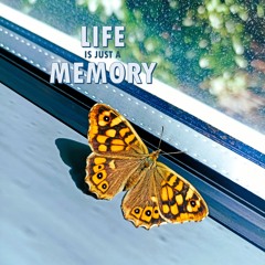 Life is just a memory