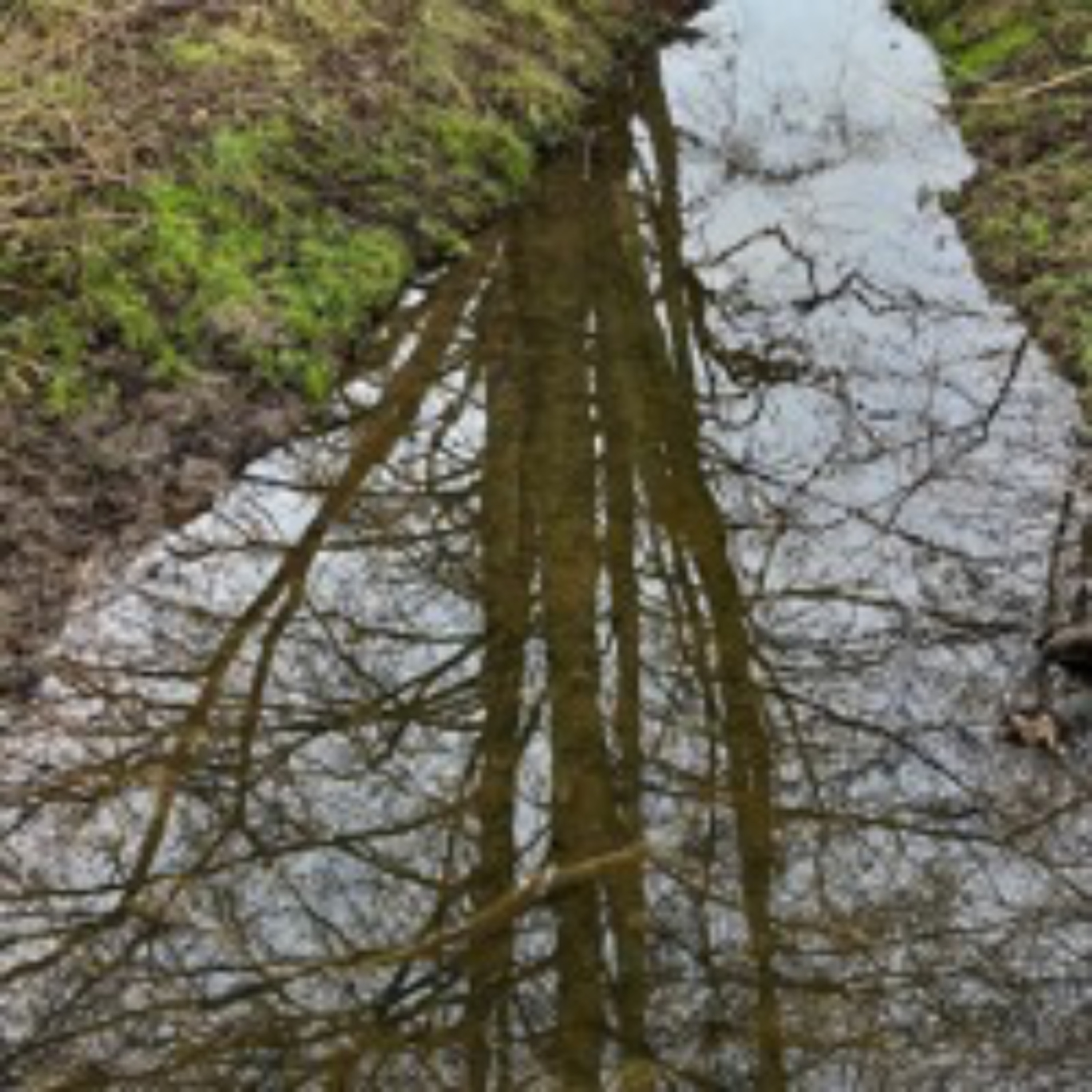 Holbrook Water, 7th February 2024 episode artwork