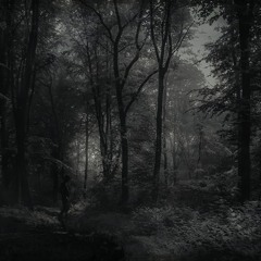 Laments of the Night in the misty forest