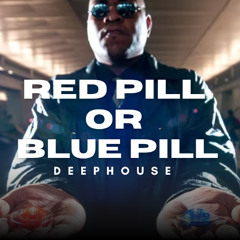 Red Pill or Blue Pill — Matrix Deep House by Jüristika