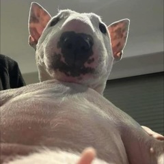 UMDLALO. [PROD. BY DOCENT]