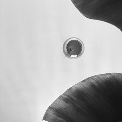 Effect Blond - Analogue Series #4 Falling Fast *live*