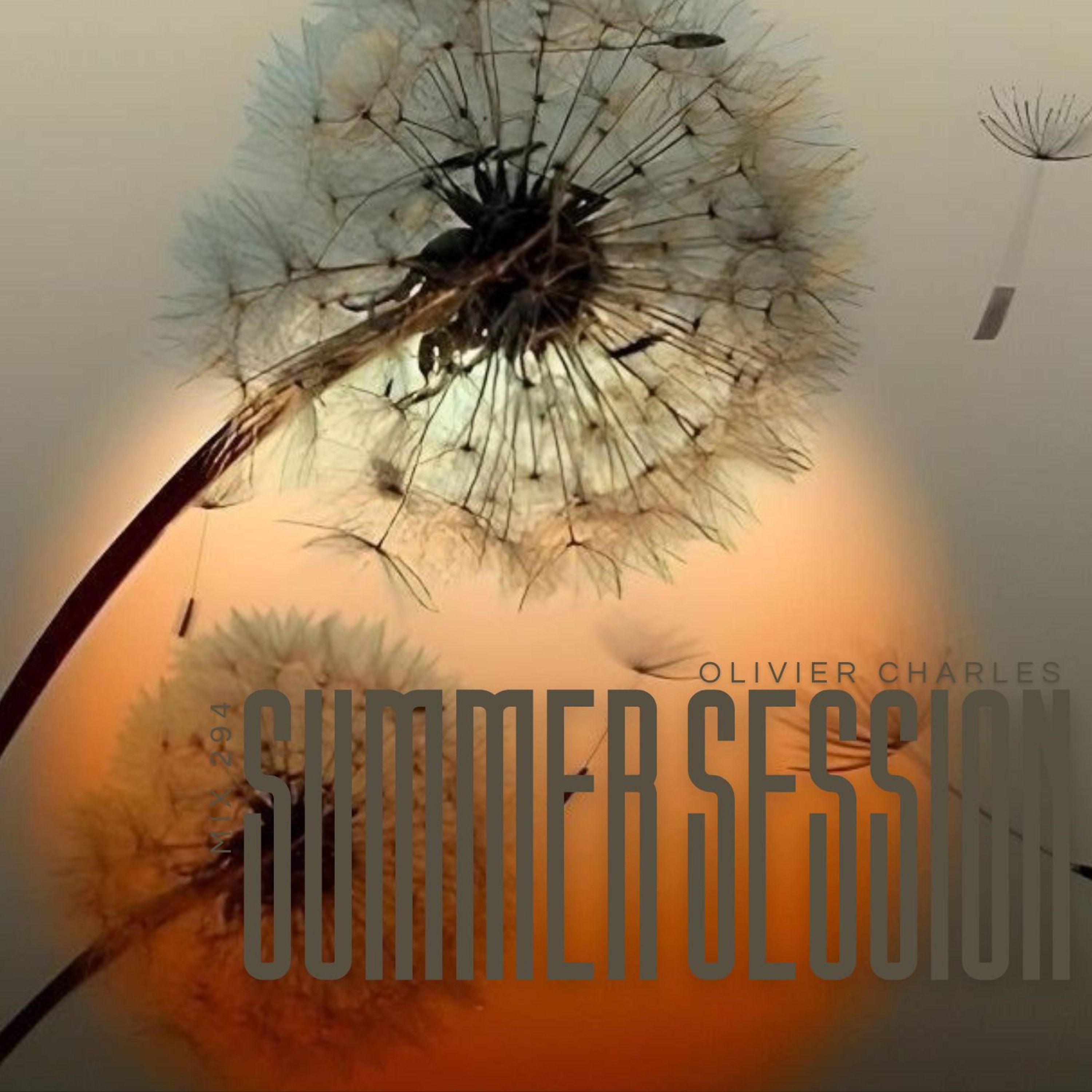 SuMMeR Session