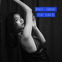 Shakin' (feat. Sean Q)