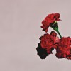 Who Do We Think We Are Album Version feat Rick Ross Who Do We Think We Are Album Version feat Rick Ross