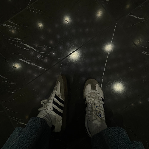 TASTE GOOD LIKE B1RDZ (travis scott x billie eilish)