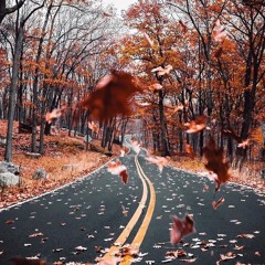 FALLEN LEAVES  UPTEMPO EDIT (prod.T-Stroy)