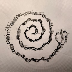 Gasteropod @Pic du Son 2024