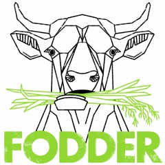 Continuous improvement for better product, better world – Fodder podcast