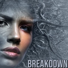 BreakDown