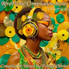 AfroPicnic Compilations Serie_Vol.6