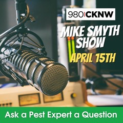 CKNW Radio Springtime Pests, with Mike Londry Westside Pest Control - Apr 15th 2024