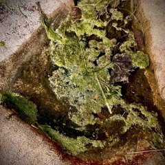 My Whole Being-Take #Gazillion