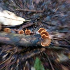 The Rolling Stones - 2000 Light Years From Home(Disiac remix)