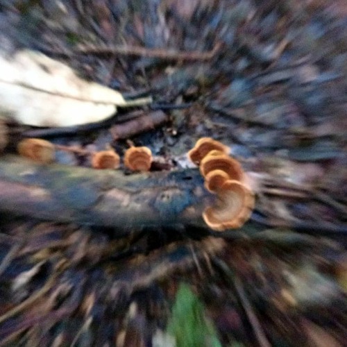 The Rolling Stones - 2000 Light Years From Home(Disiac remix)