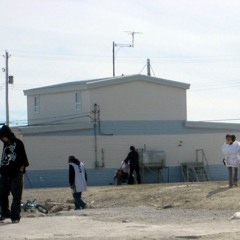 complete makobadco collection