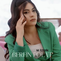 Ne İstedin