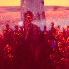 The Vision Of Sadhguru