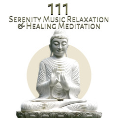 Seven Chakras Cleansing (Healing Nature Sounds)