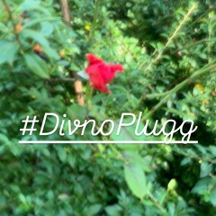 #DivnoPlugg. TENZE prod. @oneblade360proxl