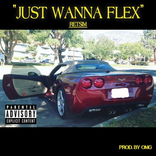 JUST WANNA FLEX (Prod. OMG)
