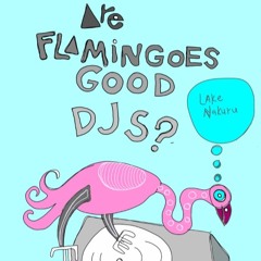 Doflamingoe Session by Flores