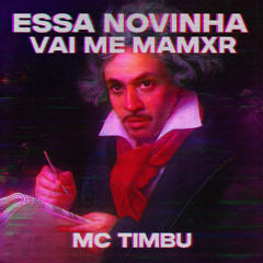 MC TIMBU - ESSA NOVINHA VAI ME MAMXR [ FUNK / PHONK 2025 ]