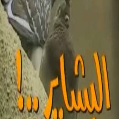 ‎⁨عود موسيقى تصويريه رائعه - مسلسل البشاير⁩.m4a