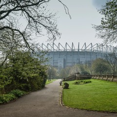 new monkey - summer dreams of love.mp3