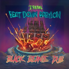 Beat Down Babylon (ft. I-Rebel)