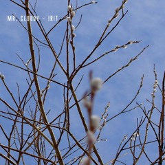 Mr. Cloudy - The Version