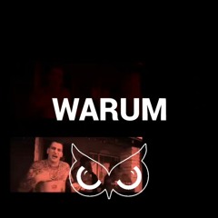 Warum (GZUZ) X Bomfunk MC's (Major7) - Ze'Coruja Mashup