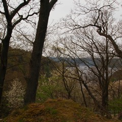 Waiting for the Rain (by Otti & Herbert)