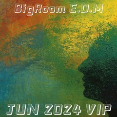 BigRoom🔥EDM🔥128🔥v2🔥VOL.598(41New Pack)(Free Download)(Free Password)