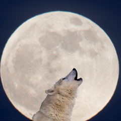 Sleep paralysis (prod. DCM)