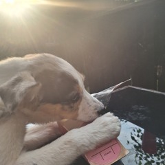 no games (house remix)serani