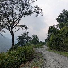 Ae dil kisi ki yaad me - Saleem Raza - Cover