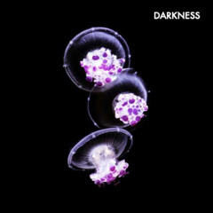 Darkness_Jun 2025