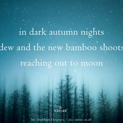 haiku #511: in dark autumn nights / dew and the new bamboo shoots / reaching out to moon