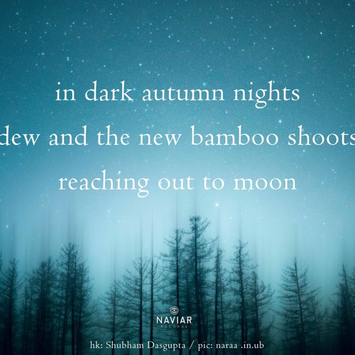 haiku #511: in dark autumn nights / dew and the new bamboo shoots / reaching out to moon