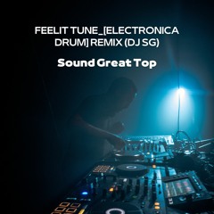 FEELIT TUNE [ELECTRONICA DRUM] REMIX (DJ SG)