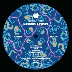 ND016 Various Artists - Neptune Discs Vol 8.