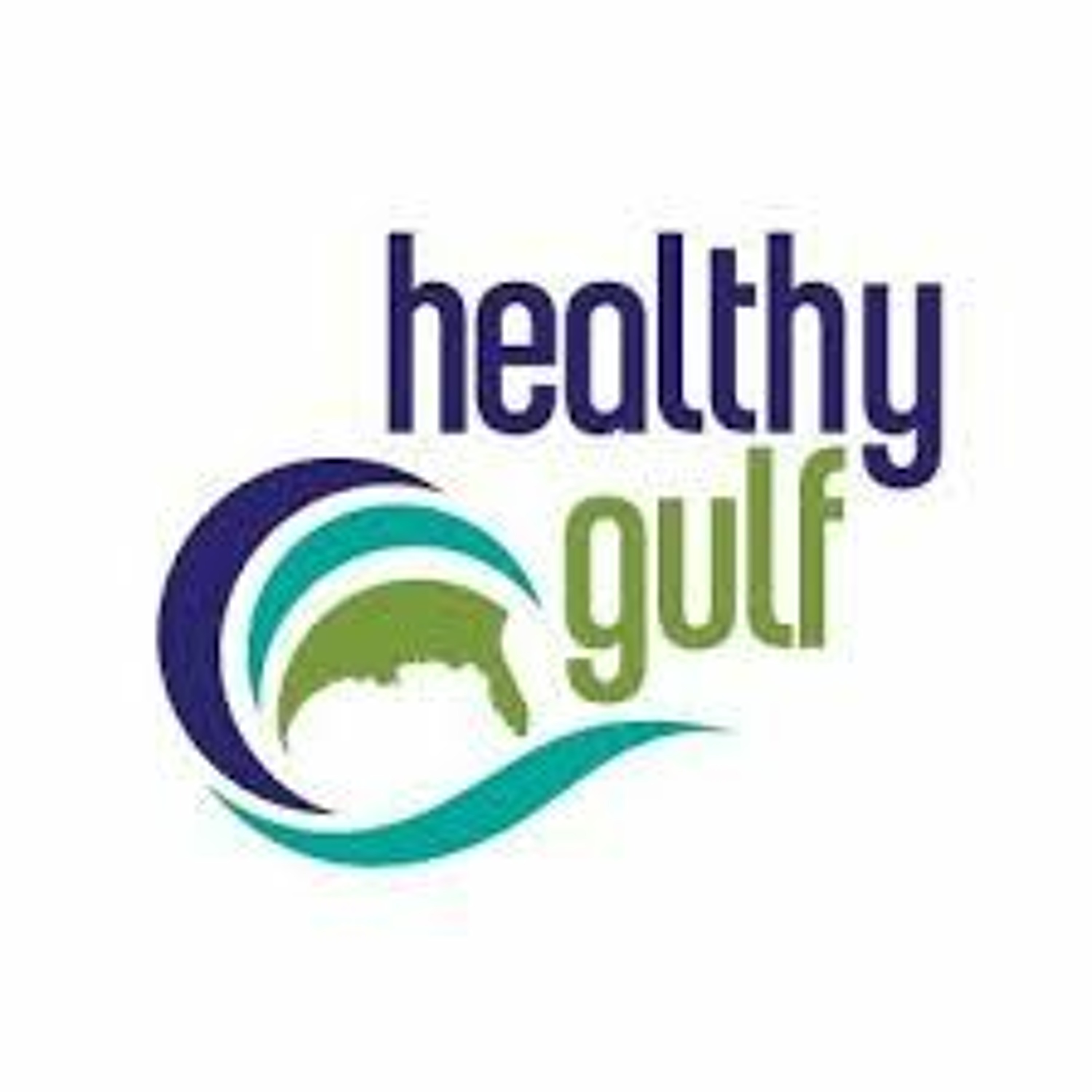 Interview: Scott Eustis from Healthy Gulf on Proposed Plaquemines Liguids Terminal episode artwork
