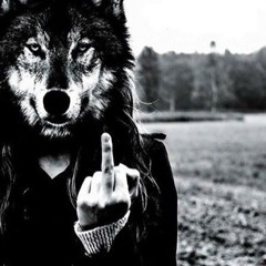 Yeah Yeah (Prod Greyrock)