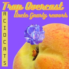 Acid Cats - Trap Overcast Uncle Gnarly Rework