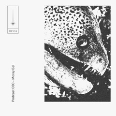 Mechta Podcast 030 — Moray Eel